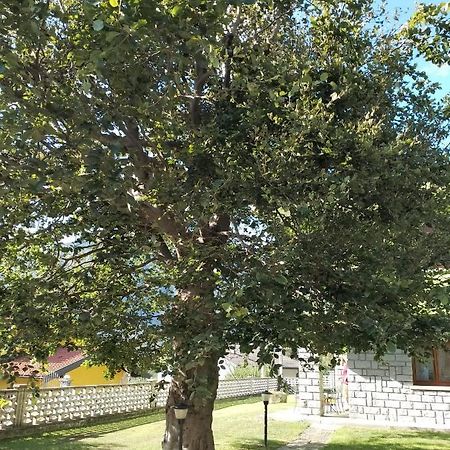 Il Faggio Bed & Breakfast Beura Exterior foto
